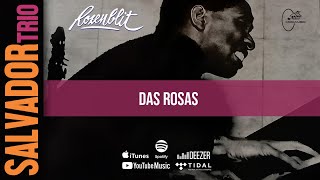 Salvador Trio - Das Rosas