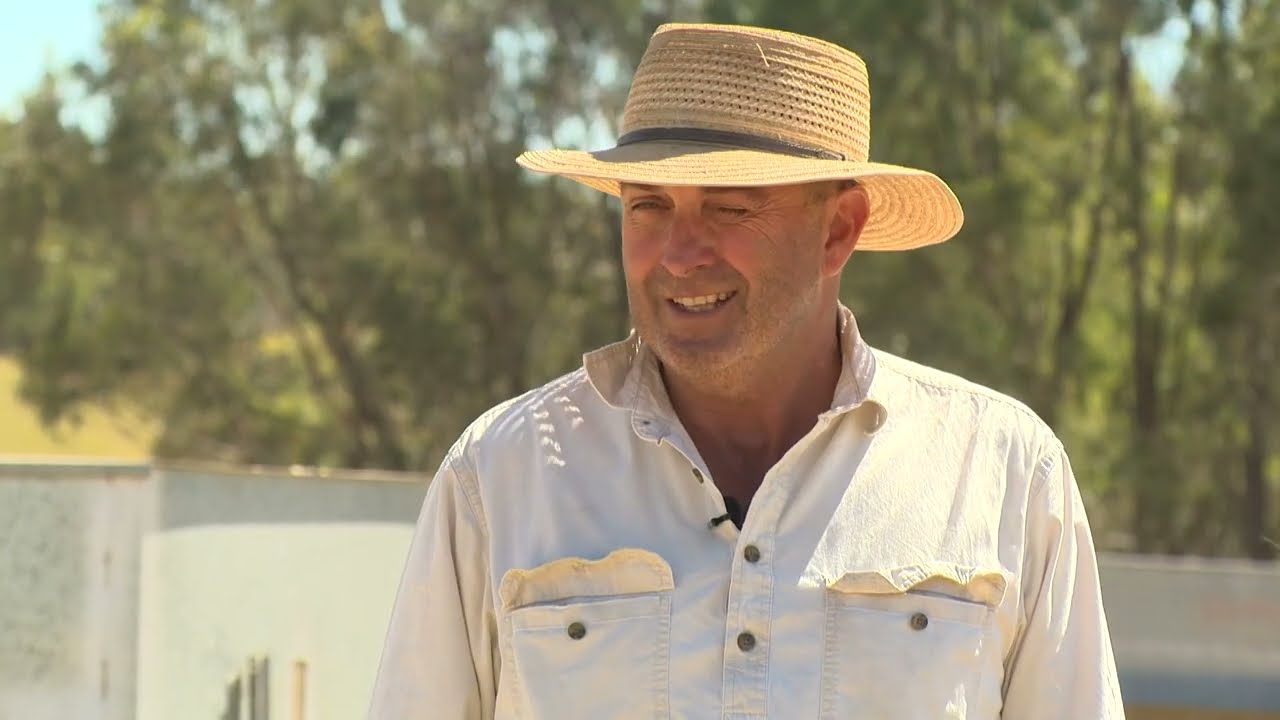 Stock Containment Areas - Sheep