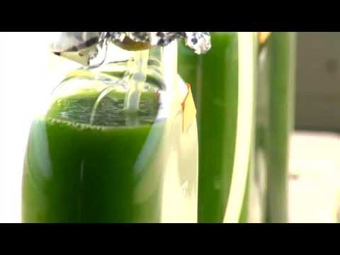 能源101｜藻類轉化為燃料 (Energy 101 | Algae-to-Fuels)
