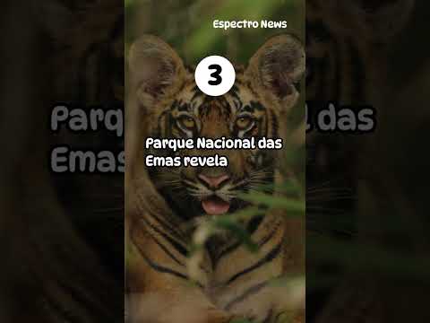 5 pontos turísticos imperdíveis de Goiás que surpreendem todos os visi