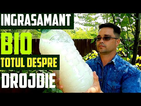 dureri de spate din cauza varicelor postul vene varicoase