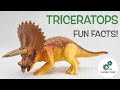 TRICERATOPS FACTS! | Fun & Educational | Dinosaurs For Kids | Best Dinosaur Facts