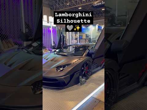 Thumbnail for Lamborghini Silhouette 🩶✨ #supercars #shortsfeed #shorts #lamborghini #cars by Lamborghini Silhouette