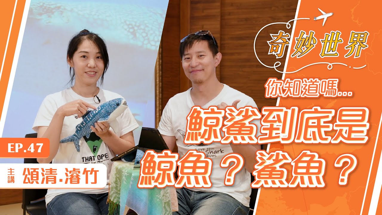 宿霧驚奇之旅