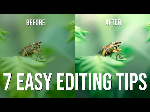 7 easy macro editing tips for beginners or experts (Lightroom tutorial)