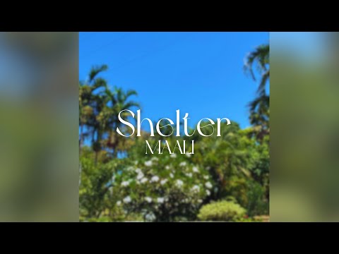maali - Shelter