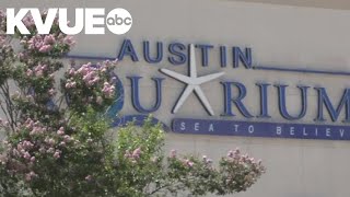 Austin Aquarium hit with another warning from USDA after multiple animal attacks