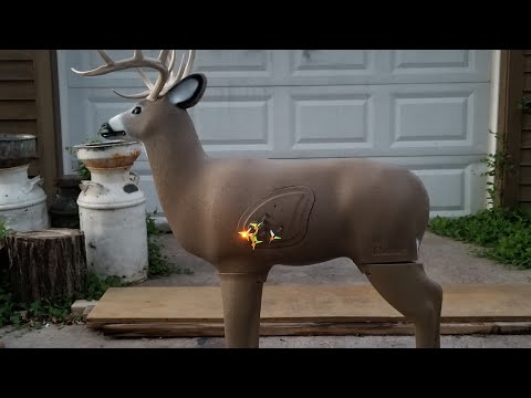 What is the best 3D archery deer target for you?