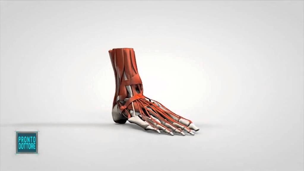 Gaetano Ricignolo-22