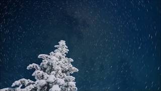 Revelation - Troye Sivan