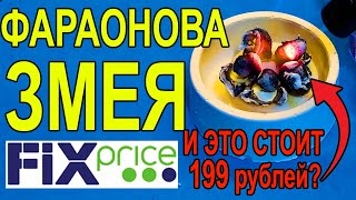 Фараонова змея