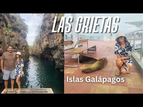 Visitando Galapagos - Isla Santa Cruz / Hicimos buceo y conocemos Las Grietas | ECUADOR 🇪🇨