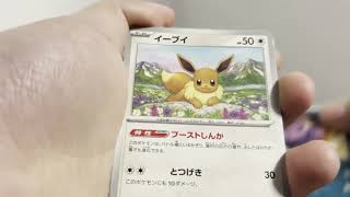テラスタルフェスex　開封動画