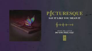Say It Like You Mean It Music Video