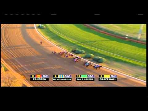 04.11.2011 Churchill Downs 8.Race Breeders' Cup Juvenile Fillies 2011 Group I 1.770 m