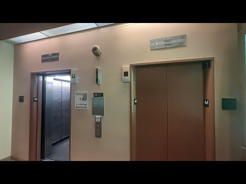 Westinghouse/OTIS Elevonic 411M Traction Elevators @ William Pitt Union - Pittsburgh, PA