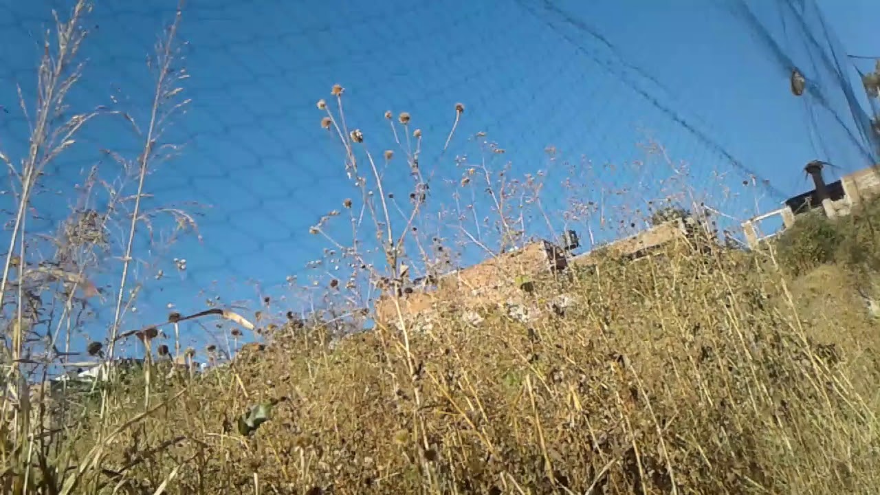 Watch Capturas red de viento o niebla Now Capturas red de viento o niebla