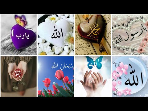 Islamic dpz collection❤️ || Allah Muhammad name dp images for WhatsApp || Beautiful dpz