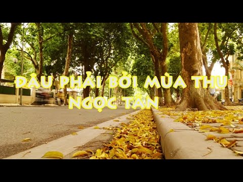 Đâu phải bởi mùa thu Sheet - Ngọc Tân