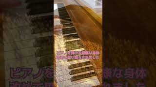Download lagu ピアノばばぁ ラフマニノフ ショパン 大島ミチル リスト シューマン mp3 Download lagu ピアノばばぁ ラフマニノフ ショパン 大島ミチル リスト シューマン mp3