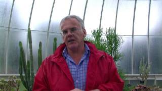 Geoff Cooper Reading Waiting At Chinon