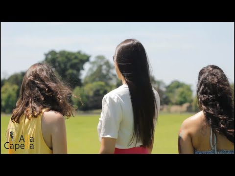 Rosa (Pixinguinha) | Alla Capella