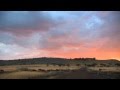 HD Wildlife Footage