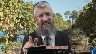 מסכת נזיר דף ס  - 8 דקות של לומדות ועמקות בדרך הלימוד הישיבתית [nazir 60]