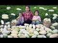 The Mother teaches Child Survival Skills: How to Harvest Cucumbers, sell to make Money | Hoang Huong
