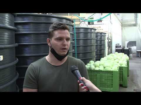 KISELI KUPUS IZ CARSKE BAŠTE PONOVO NA TRŽIŠTU