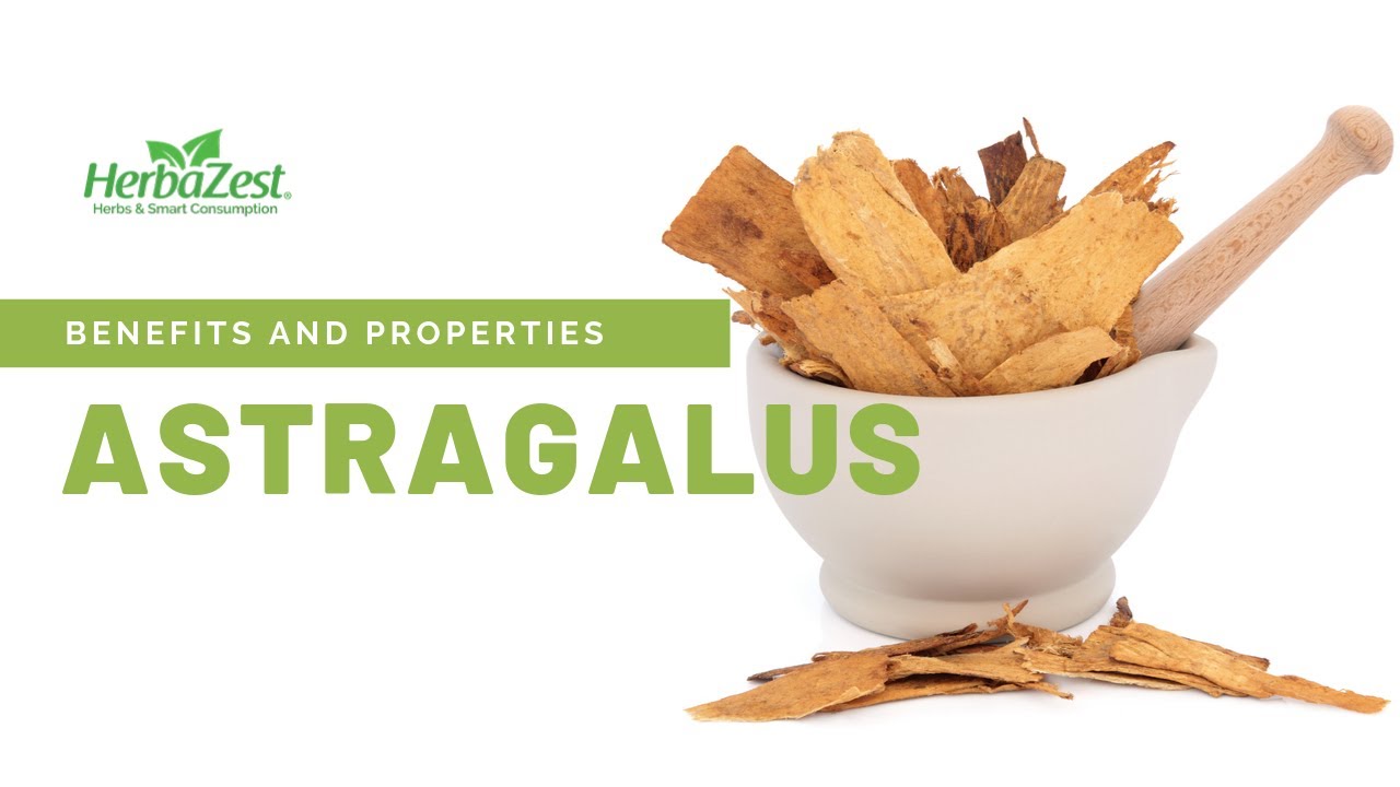 Astragalus - Herbazest