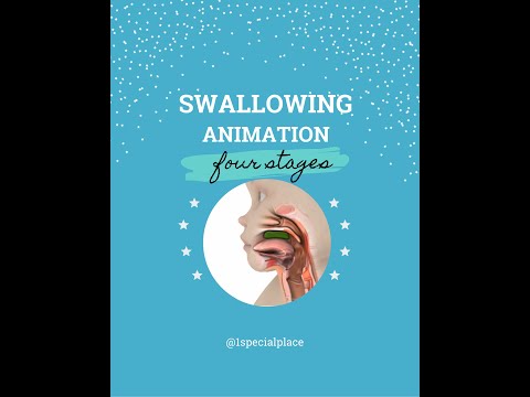 What Happens When You Swallow?