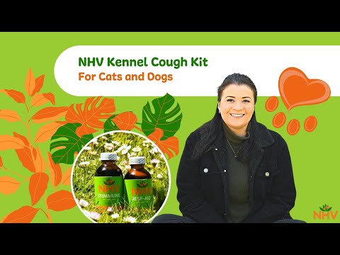 NHV Kennel Cough kit For Cats and Dogs