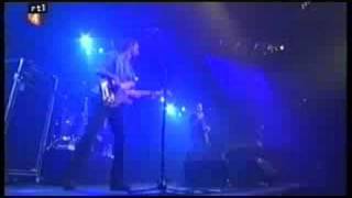 BLØF - Blauwe Ruis 4/9