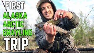 Fishing for Arctic Grayling in Alaska