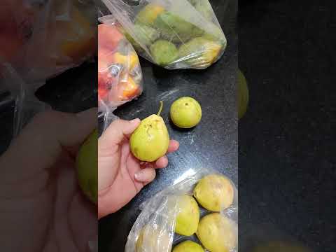 TUDO DO SITIO BANDEIRA DE BREJO DA MADRE DE DEUS #humor #comedia