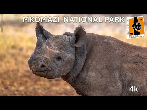 Mkomazi Video