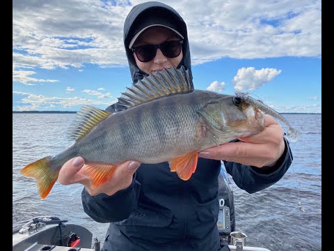 Jigikalastusta Virmasvedellä 29.8.2020