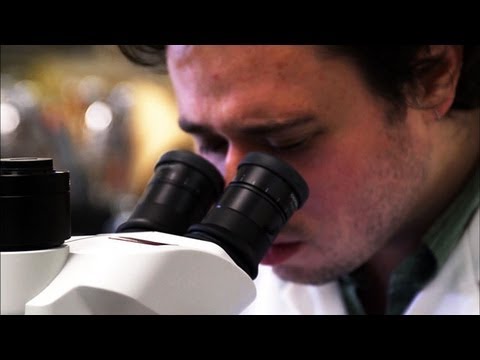 The Surprising Strategy Used to Catch a Killer