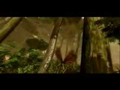 Borboleta de DEUS - Voz da Verdade