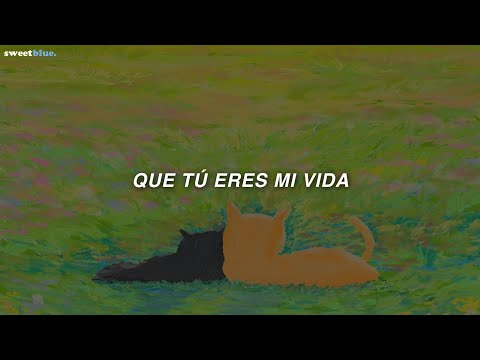 Natalia Lafourcade, Devendra Banhart - Amor, Amor de Mis Amores (Letra)