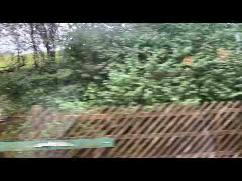 Harold at Holywell halt 24.10.21