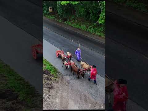 OS CARREIROS E CAVALEIROS EM SAPUCAÍ-MIRIM-MG