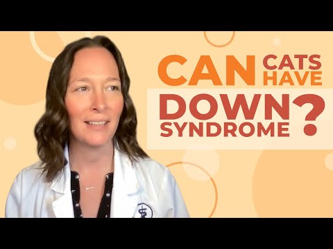YouTube video about: Can birds have down syndrome?