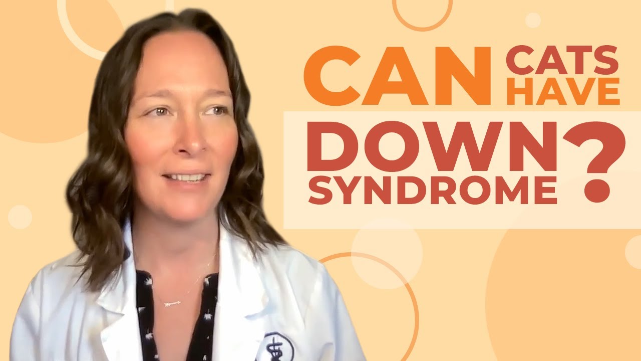 YouTube video preview