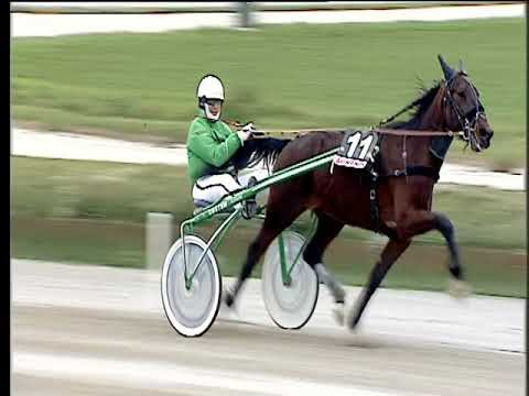 Trotto 25/02/2018 - 2ª corsa