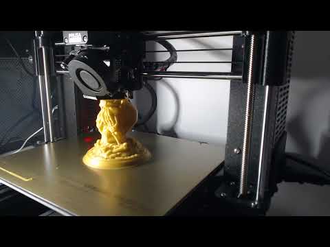 Octoprint  3 wise skulls
