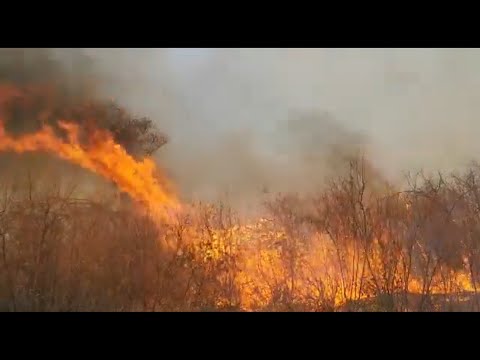 PiauiÌ assume primeiro lugar do Brasil em focos de queimadas em Setembro 18 09 2021