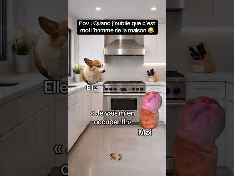 #chatstory #chat #snapdrole #humour #funny #cat #animals #pets #humor #memes