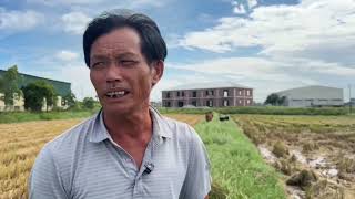 13 10 2026 Tuyên truyền quản lý gia súc đảm bảo an toàn giao thông